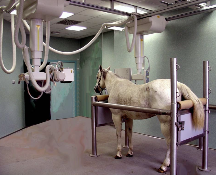 Capture d’écran 2026 01 12 à 16.03.42