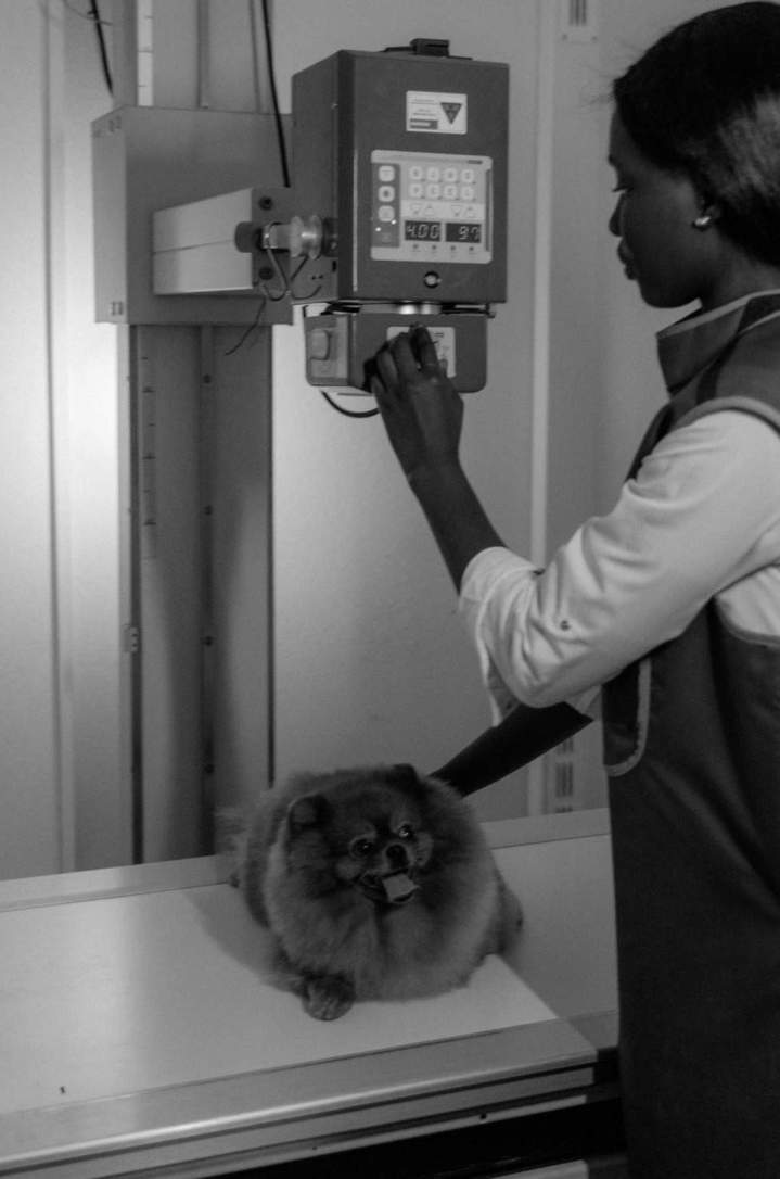 pexels tima miroshnichenko 6234978